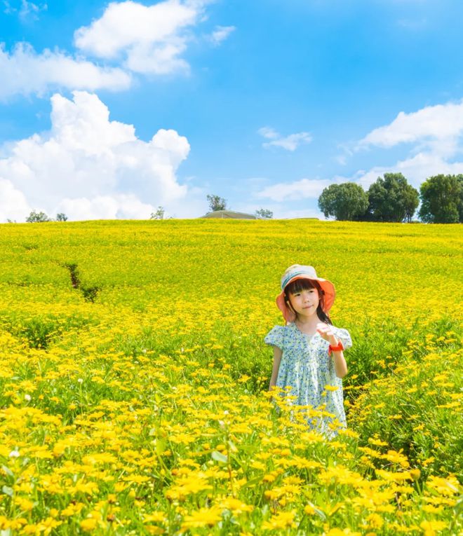 带孩子去云南旅游怎么玩云南亲子游这些注意事项你必须要知道!(图8)