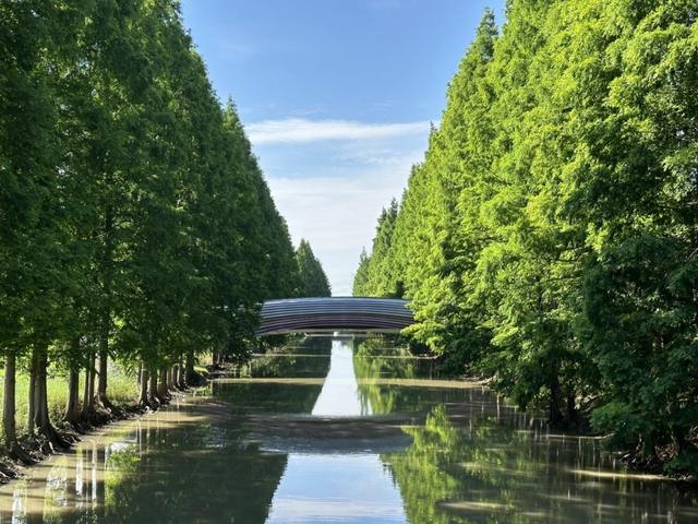 邂逅申秋丨秋日亲子出游乐趣多！沪上遛娃宝藏公园有……(图4)