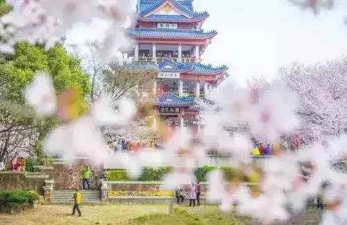 亲子旅行的方式原来这么多你会爱上第7种带上宝贝出发吧！(图3)