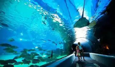 适宜亲子出游的十大旅游地美国占 6个(图3)