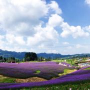 迁安市天元谷旅游休闲街区介绍