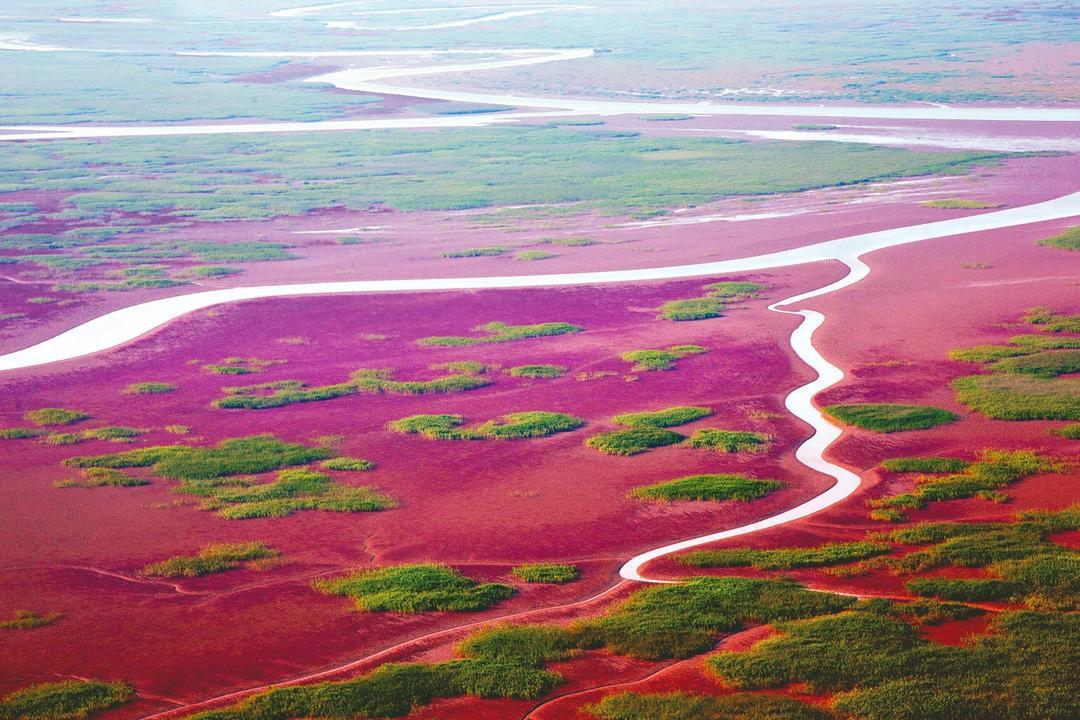好客山东解锁冬日浪漫(图2)