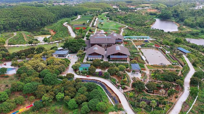 江门篇 国庆亲子游去哪里？大脚丫小脚丫丈量每一寸土地(图21)