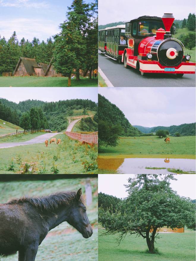 重庆亲子游十大热门景点推荐带小孩去重庆旅游有哪些好玩景点(图5)