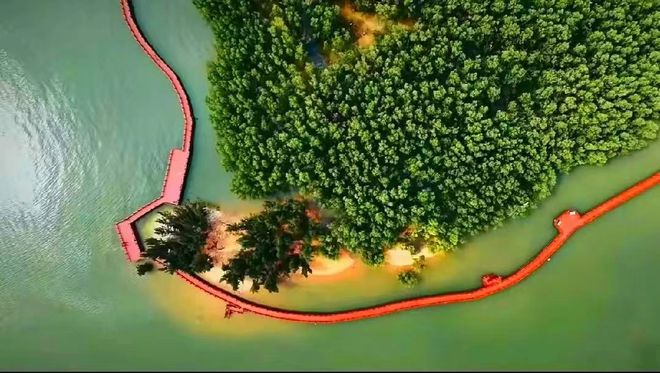 湛江篇 国庆亲子游去哪里？大脚丫小脚丫丈量每一寸土地(图4)