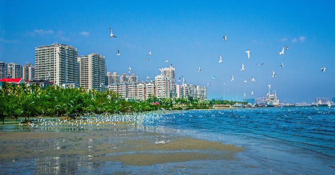 湛江篇 国庆亲子游去哪里？大脚丫小脚丫丈量每一寸土地(图12)