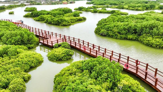 湛江篇 国庆亲子游去哪里？大脚丫小脚丫丈量每一寸土地(图20)