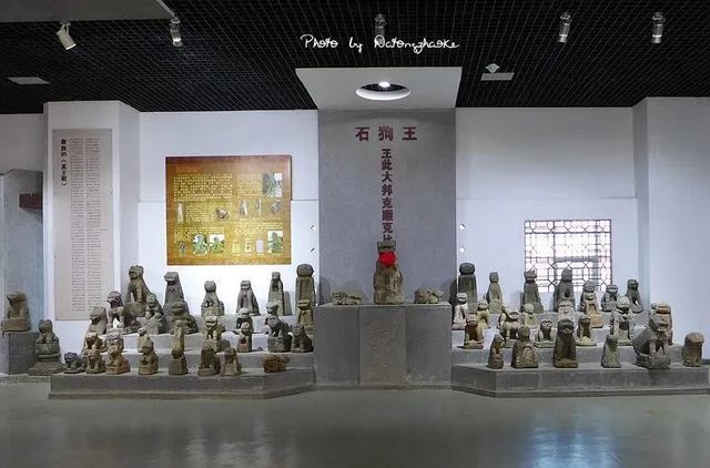 湛江篇 国庆亲子游去哪里？大脚丫小脚丫丈量每一寸土地(图29)