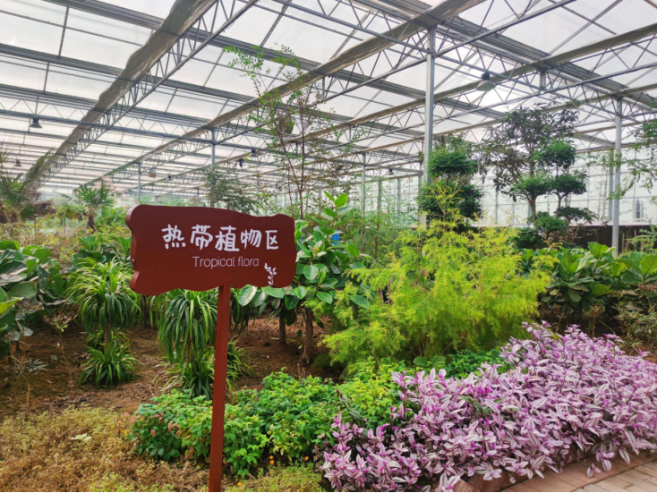 休闲农业精品旅游路线推荐——河东区亲子研学观光游(图6)