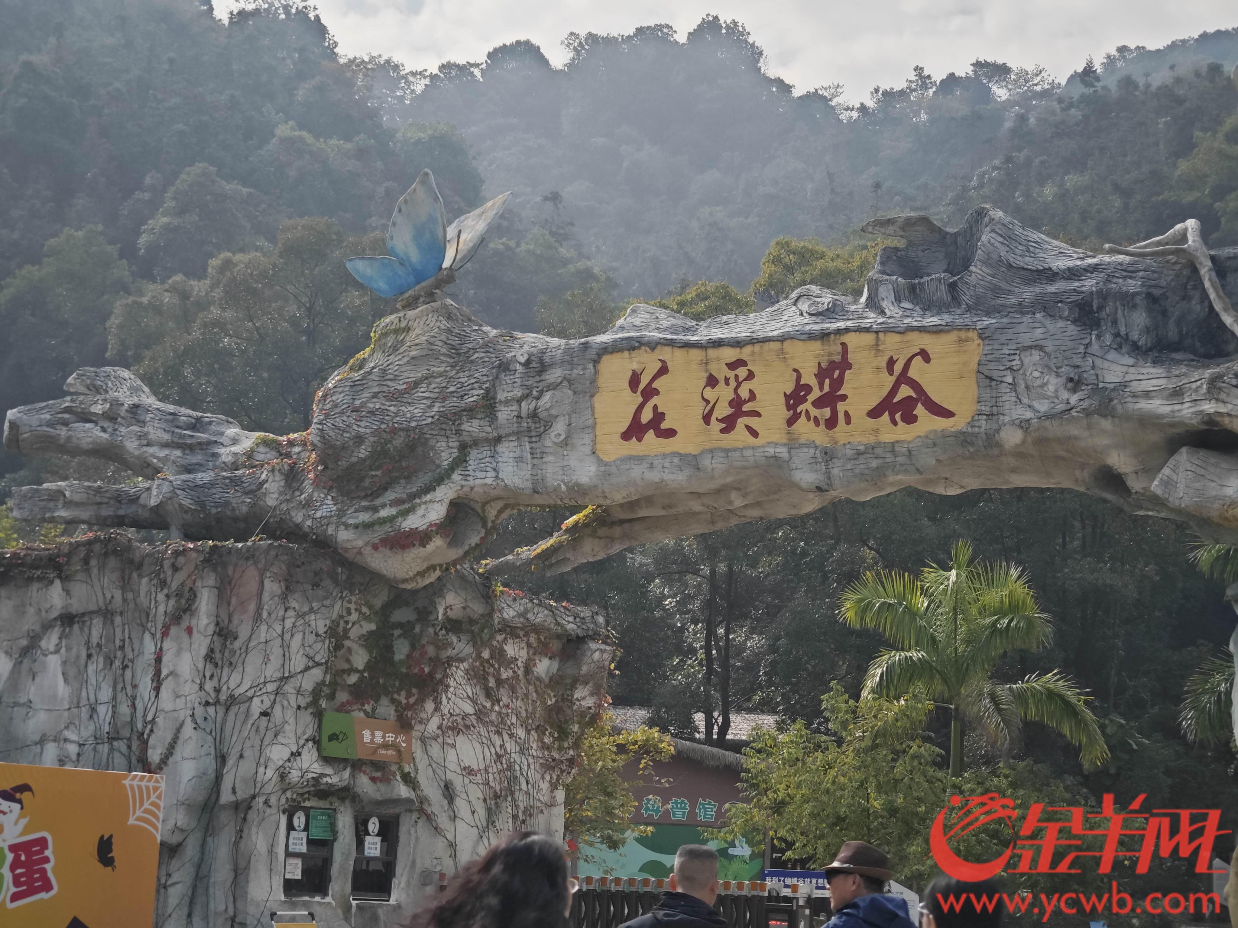 视频｜寻找广州十大魅力街镇来花都梯面赴一场“醉”美之约(图4)