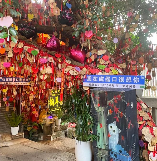 重庆寒假亲子游旅游攻略大全重庆亲子四日游路线推荐建议收藏(图4)