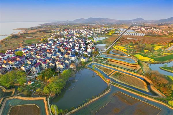 江苏高淳：蟹旅融合谱新篇 文旅共绘振兴景(图1)