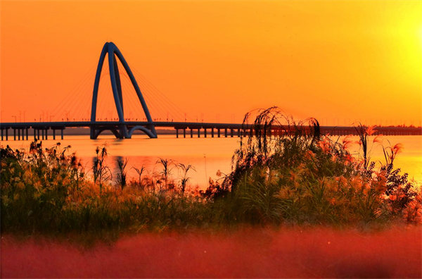江苏高淳：蟹旅融合谱新篇 文旅共绘振兴景(图5)