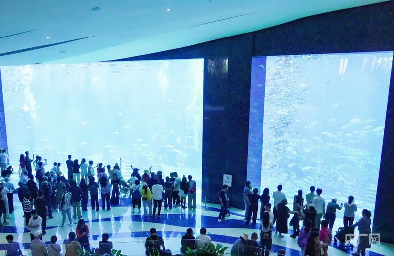 三亚海棠区：奋力打造国际旅游消费中心核心引领区(图4)
