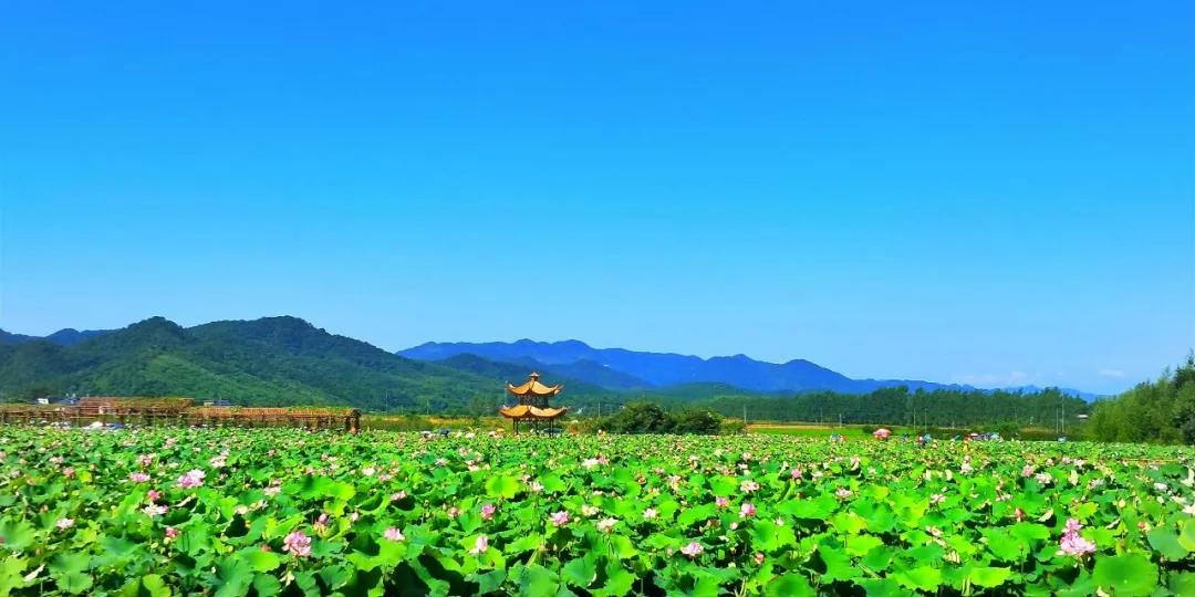春节亲子游玩攻略：这些地方让宝宝乐不停