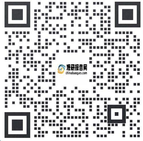 中国数字文旅行业发展趋势分析与未来投资预测报告（2024-2031年）(图3)