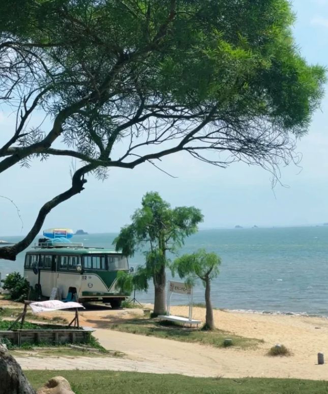 厦门亲子游旅游攻略去厦门旅游五天需要多少钱？值得收藏避坑(图1)