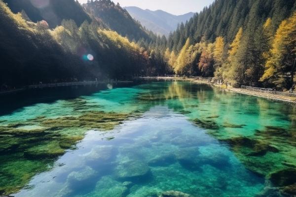 追寻诗与远方中星智昇引领文旅业务新风尚(图2)