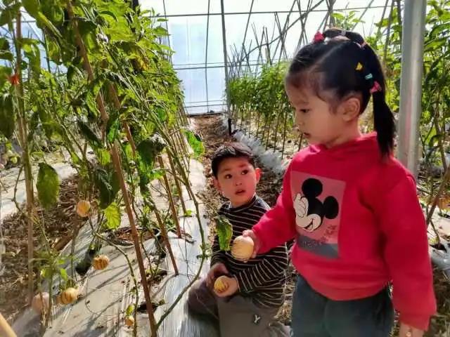 假期亲子游的好去处