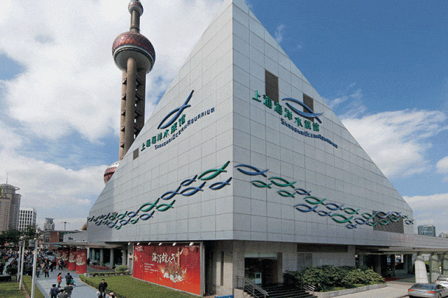 上海文旅局推暑期观光卡：199元起玩转上海8条路线推荐(图4)