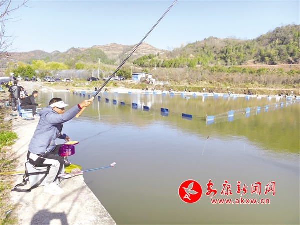 文旅融合乡村美 - 安康新闻网(图2)