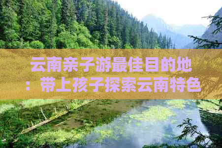 云南亲子游更佳目的地：带上孩子探索云南特色景点与亲子活动攻略(图1)
