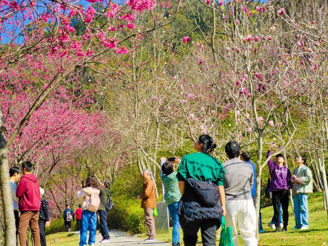 旅游迎春 休闲过年 火速围观！厦门元宵旅游嘉年华不允许你错过→(图2)