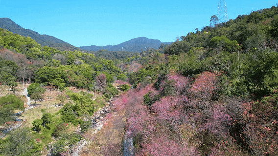 旅游迎春 休闲过年 火速围观！厦门元宵旅游嘉年华不允许你错过→(图3)