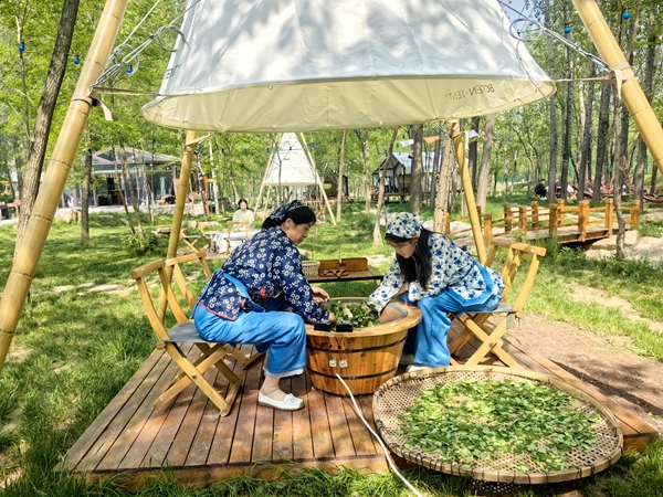 案例发布｜坚持“三色”抓保护开发 建设国际休闲度假目的地——怒江州贡山县丙中洛镇乡村旅居案例