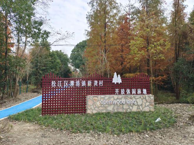 松江又添开放休闲林地就在……(图2)