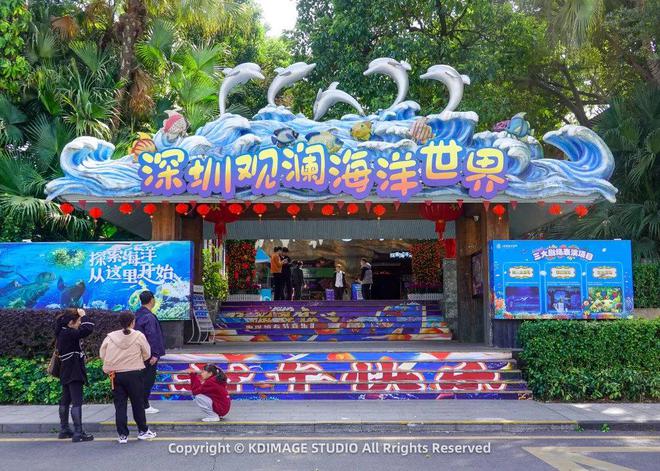 不用去外地深圳也能看樱花还是个遛娃胜地！(图3)