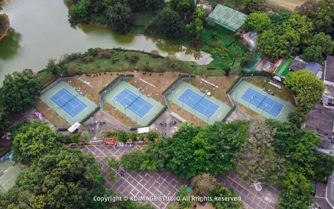 不用去外地深圳也能看樱花还是个遛娃胜地！(图8)