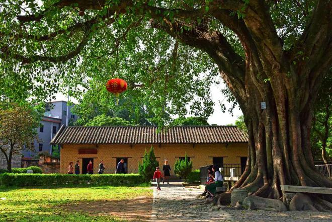 好消息！花都国家AAA级旅游景区+1！打卡走起(图9)