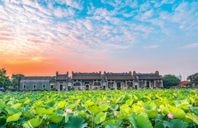 好消息！花都国家AAA级旅游景区+1！打卡走起(图11)