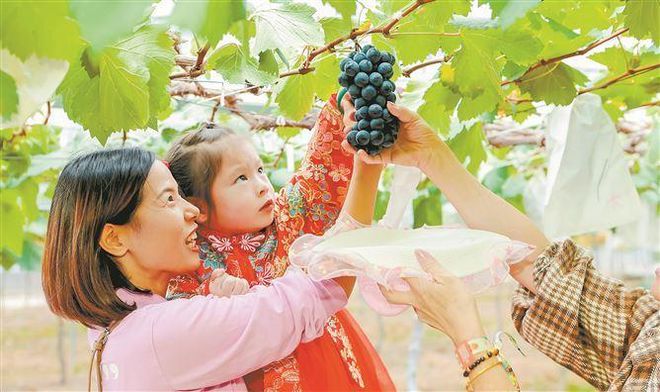 体旅融合！UTMB世界系列赛点燃同安北部山区新活力(图1)