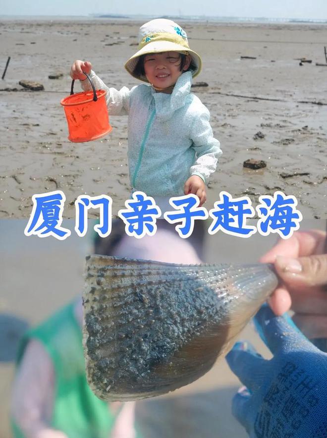 4天3晚厦门亲子游超全攻略组团去厦门四日游人均费用建议收藏(图1)
