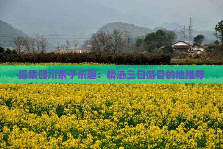 探索四川亲子乐趣：精选三日游目的地推荐(图4)