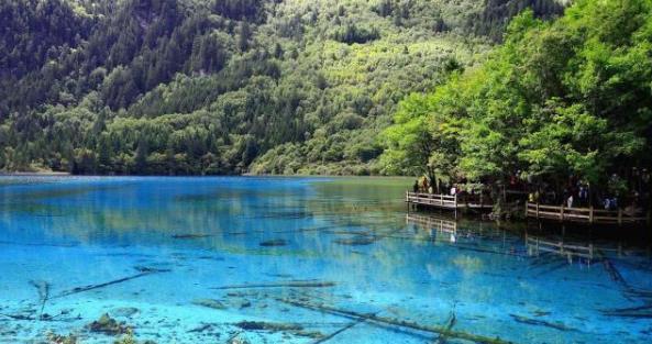 适合带家人一起去的4个旅游景点增进亲子感情看看你去过吗？(图3)