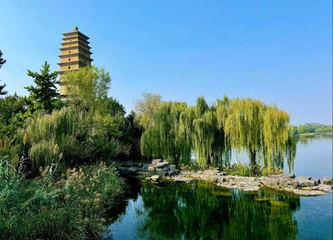 陕西发布26条春季乡村休闲旅游行精品线路(图7)