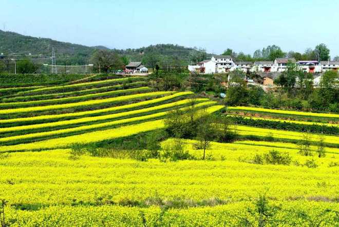 陕西发布26条春季乡村休闲旅游行精品线路(图12)