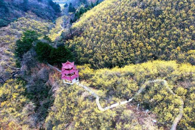 陕西发布26条春季乡村休闲旅游行精品线路(图35)