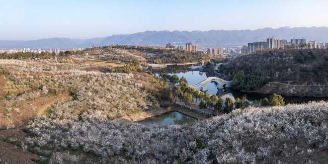 陕西发布26条春季乡村休闲旅游行精品线路(图37)