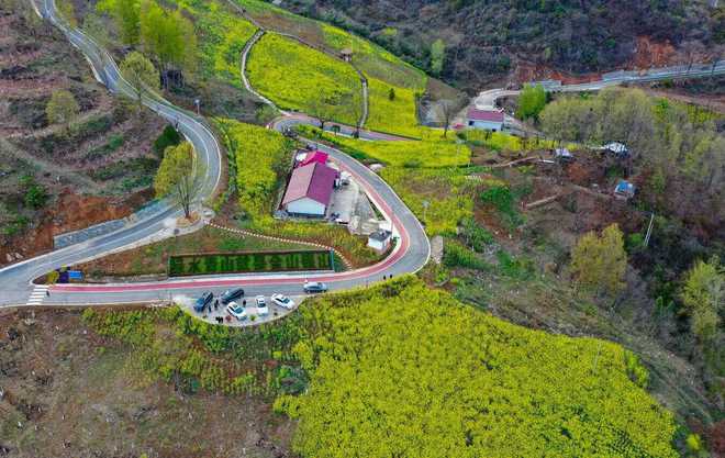 陕西发布26条春季乡村休闲旅游行精品线路(图50)