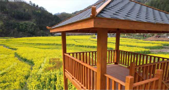 陕西发布26条春季乡村休闲旅游行精品线路(图44)