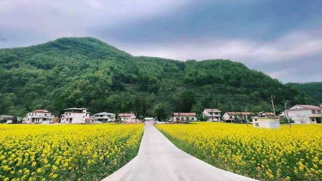 陕西发布26条春季乡村休闲旅游行精品线路(图49)