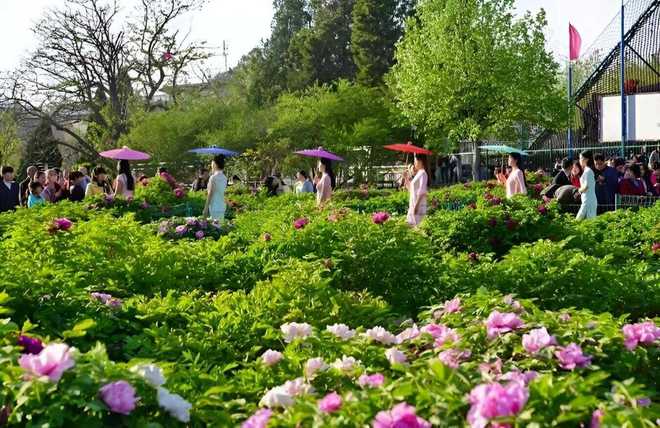 陕西发布26条春季乡村休闲旅游行精品线路(图52)