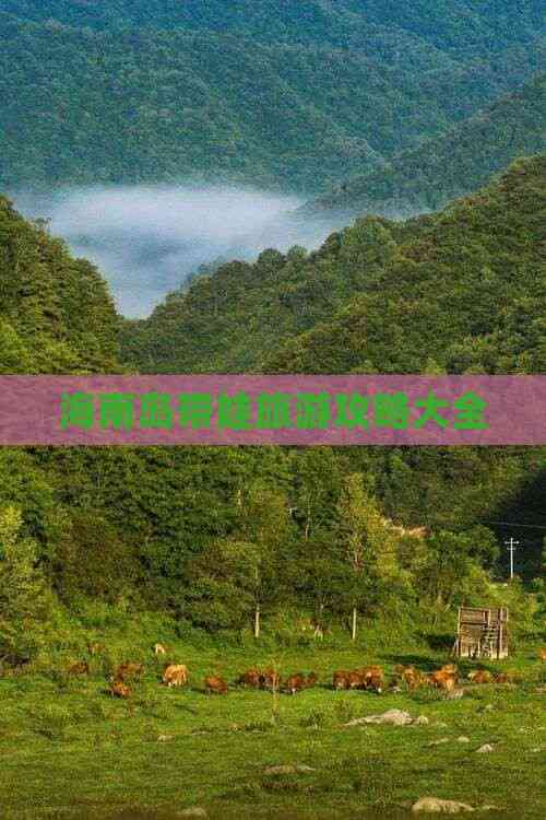 海南岛带娃旅游攻略大全(图5)