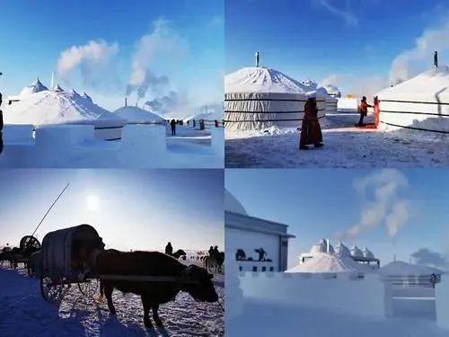 吃好玩好！内蒙寒假3天2晚亲子研学~多伦湖冬捕、林海雪原穿越体验、畅玩冰雪！(图6)