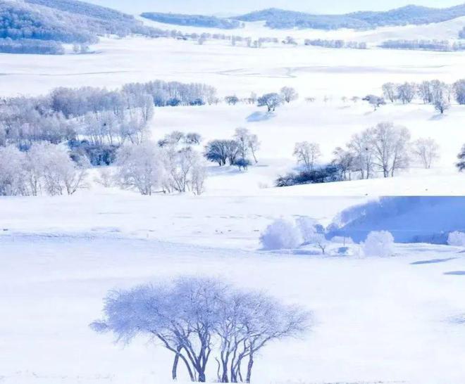 吃好玩好！内蒙寒假3天2晚亲子研学~多伦湖冬捕、林海雪原穿越体验、畅玩冰雪！(图10)