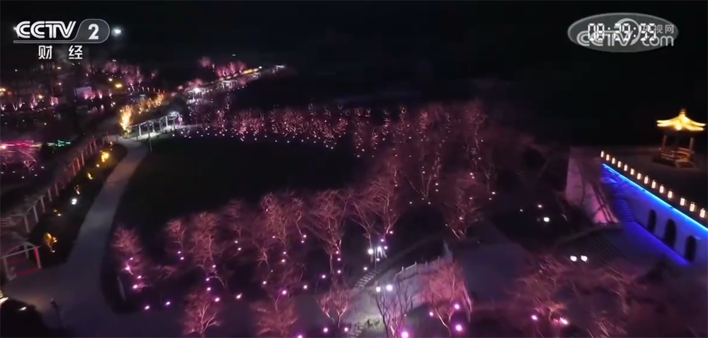 “花”经济“一路繁花”撬动文旅新消费 为乡村振兴“景”上添彩(图3)